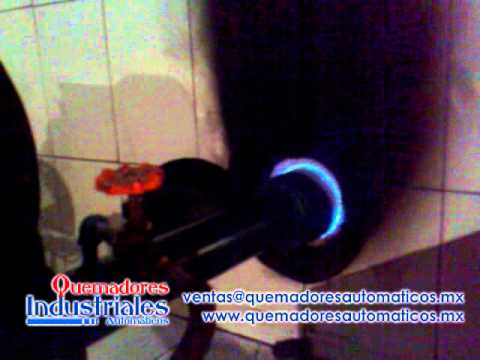 1 Manual en horno de pan